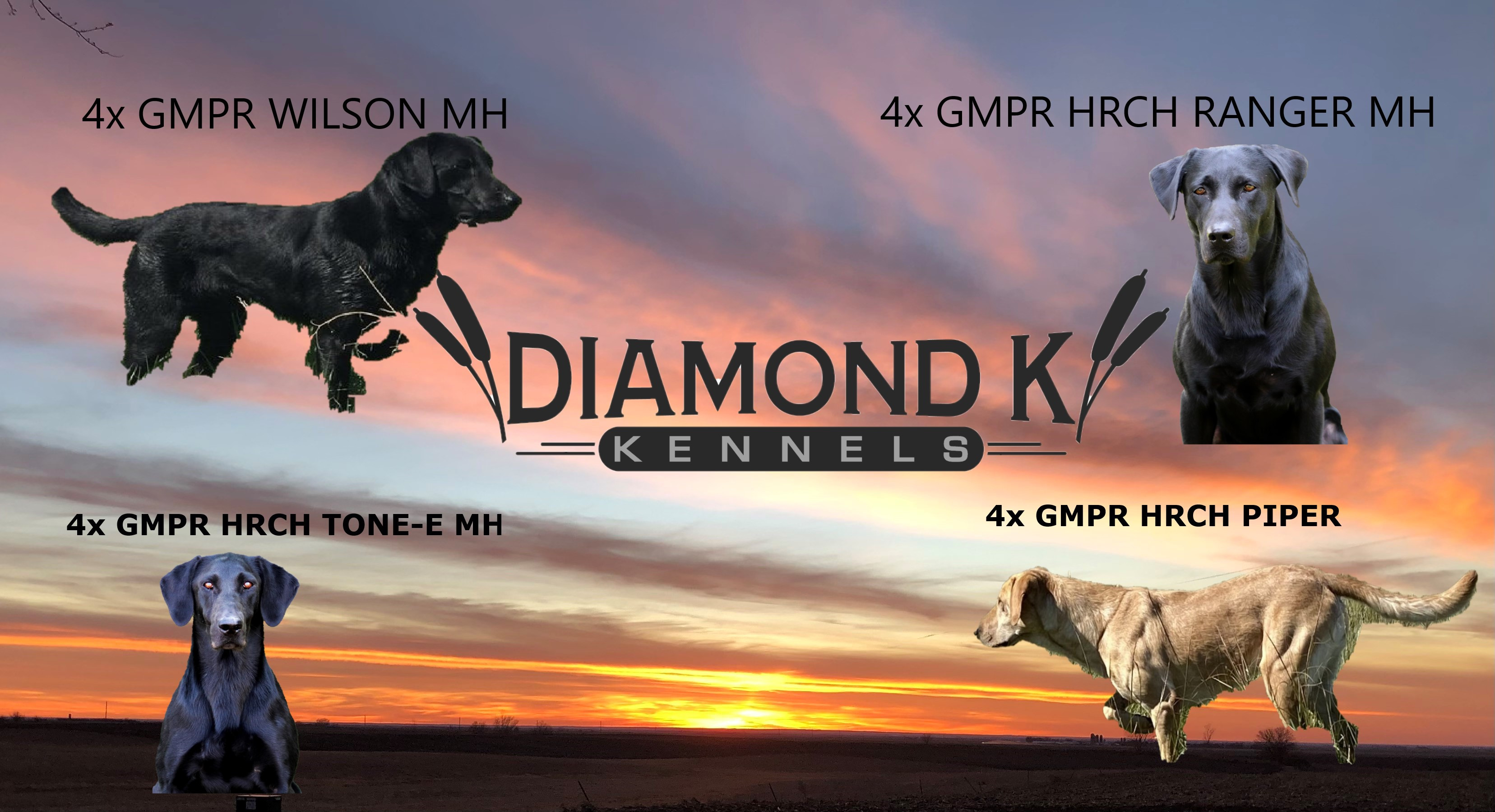 Diamond K Kennels